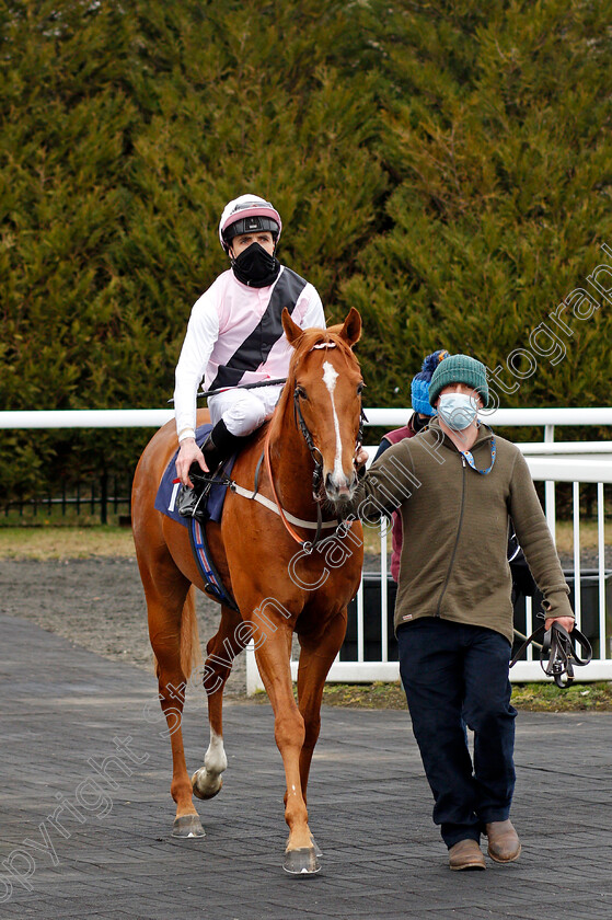 Apollo-One-0007 
 APOLLO ONE (Martin Harley) after The Get Your Ladbrokes Daily Odds Boost Spring Cup
Lingfield 6 Mar 2021 - Pic Steven Cargill / Racingfotos.com