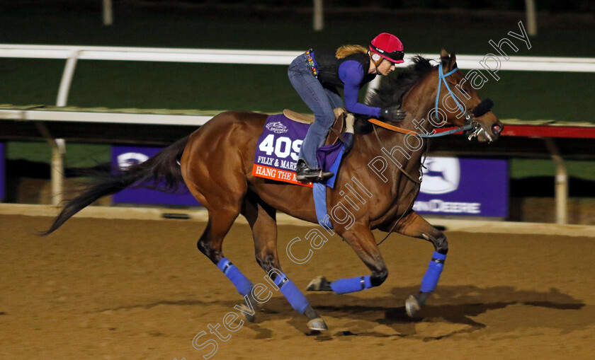 Hang-The-Moon-0001 
 HANG THE MOON training for the Breeders' Cup Filly & Mare Turf
Del Mar USA 30 Oct 2024 - Pic Steven Cargill / Racingfotos.com