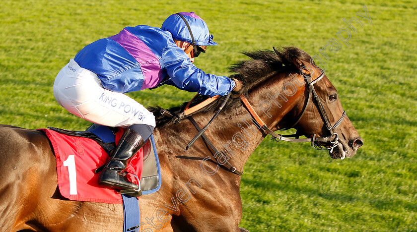 Migration-0008 
 MIGRATION (Silvestre De Sousa) wins The Fizz Fridays At Slug And Lettuce Handicap
Sandown 8 Aug 2019 - Pic Steven Cargill / Racingfotos.com