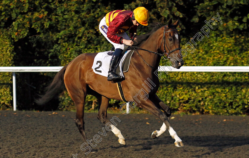 Dark-Lyric-0001 
 DARK LYRIC (Daniel Muscutt)
Kempton 6 Sep 2024 - Pic Steven Cargill / Racingfotos.com