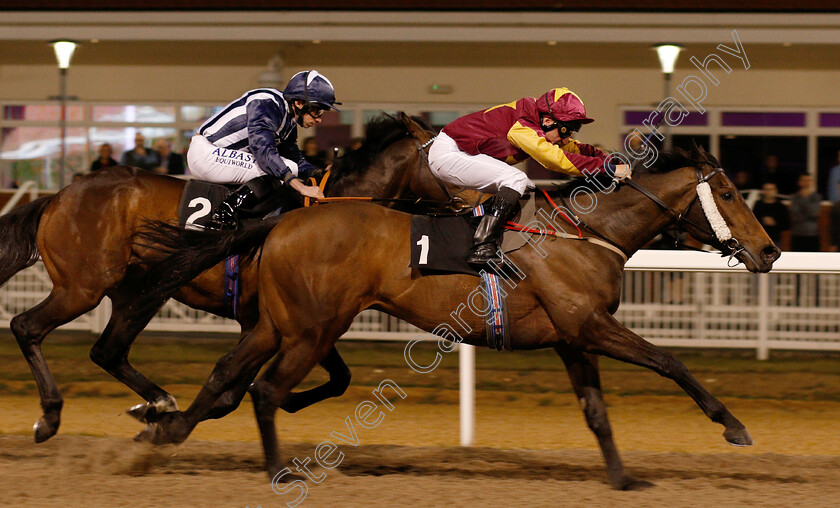 Executive-Force-0005 
 EXECUTIVE FORCE (John Egan) wins The Bet totequadpot At totesport.com Handicap
Chelmsford 21 Feb 2019 - Pic Steven Cargill / Racingfotos.com