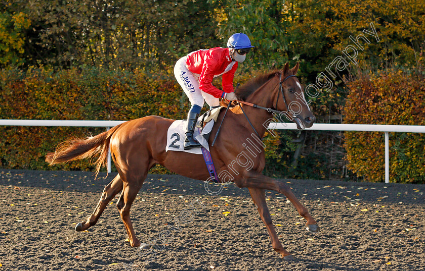 Lights-On-0001 
 LIGHTS ON (Kevin Stott)
Kempton 2 Nov 2020 - Pic Steven Cargill / Racingfotos.com