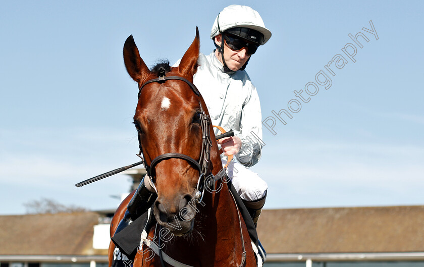 Matterhorn-0002 
 MATTERHORN (Joe Fanning) before The Betway Easter Classic All-Weather Middle Distance Championships Stakes
Lingfield 19 Apr 2019 - Pic Steven Cargill / Racingfotos.com