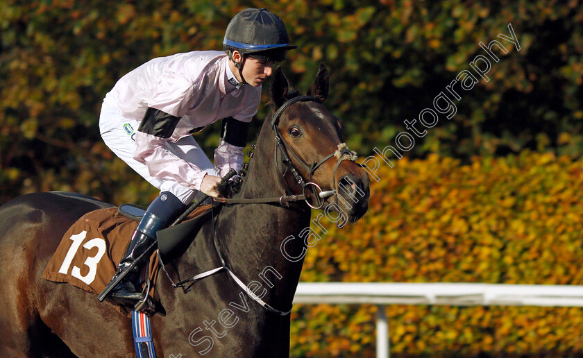 Runner-Bean 
 RUNNER BEAN (Darragh Keenan)
Kempton 10 Nov 2021 - Pic Steven Cargill / Racingfotos.com