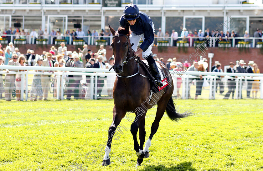 Fantasy-0001 
 FANTASY (Ryan Moore)
Goowood 1 Aug 2018 - Pic Steven Cargill / Racingfotos.com