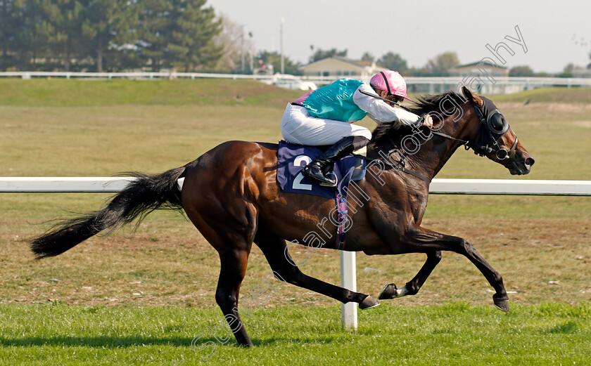 Emissary-0007 
 EMISSARY (James Doyle) wins The Sky Sports Racing Sky 415 Handicap
Yarmouth 15 Sep 2020 - Pic Steven Cargill / Racingfotos.com