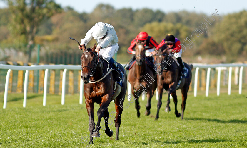 Forest-Falcon-0004 
 FOREST FALCON (William Buick) wins The British Stallion Studs EBF Novice Stakes
Yarmouth 17 Sep 2020 - Pic Steven Cargill / Racingfotos.com