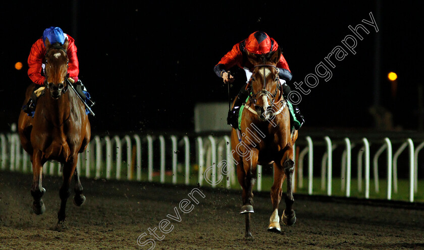 Sarim-0001 
 SARIM (Thomas Greatrex)
Kempton 17 Feb 2020 - Pic Steven Cargill / Racingfotos.com