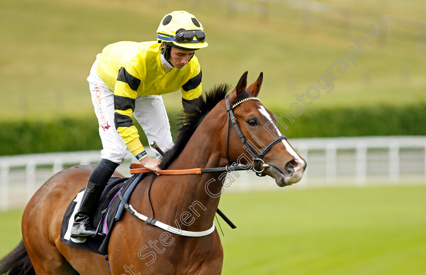 Pangloss 
 PANGLOSS (Rossa Ryan)
Goodwood 20 May 2022 - Pic Steven Cargill / Racingfotos.com