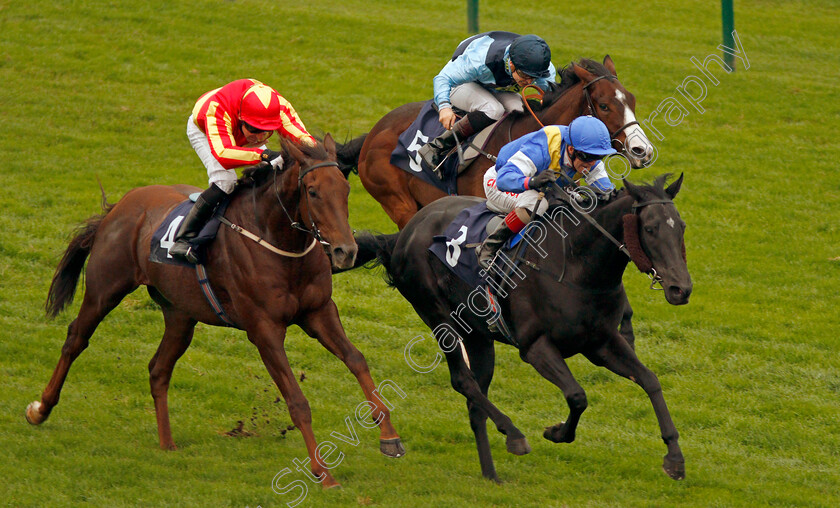 Harlequin-Rock-0004 
 HARLEQUIN ROCK (Franny Norton) beats HARRY BEAU (left) in The Great Yarmouth & Caister Golf Club Mechants Gallop Handicap Div1 Yarmouth 16 Oct 2017 - Pic Steven Cargill / Racingfotos.com