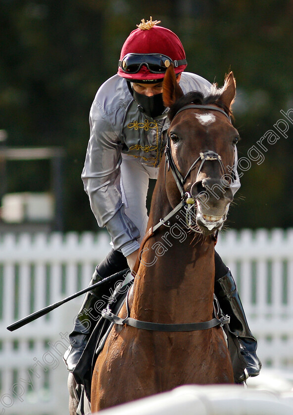 Watan-0001 
 WATAN (Pat Dobbs)
Newbury 18 Sep 2020 - Pic Steven Cargill / Racingfotos.com