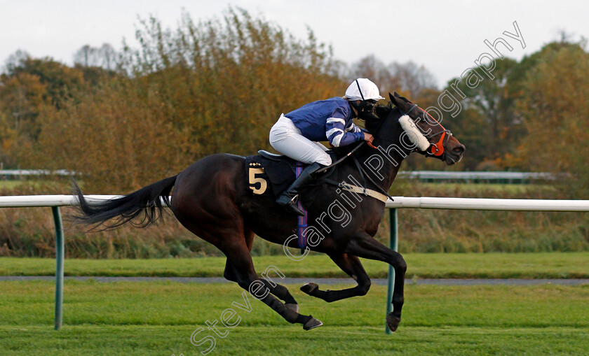 Born-To-Please-0005 
 BORN TO PLEASE (Harriet Tucker) wins The Mansionbet Watch And Bet AJA Amateur Jockeys' Handicap Div2
Nottingham 28 Oct 2020 - Pic Steven Cargill / Racingfotos.com