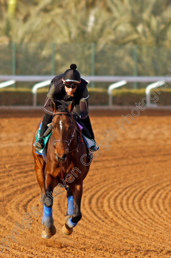 Country-Grammer-0005 
 COUNTRY GRAMMER training for The Saudi Cup
King Abdulaziz Racecourse, Kingdom Of Saudi Arabia, 23 Feb 2023 - Pic Steven Cargill / Racingfotos.com