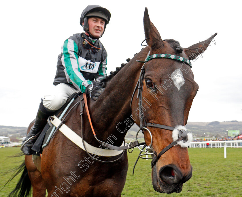 Altior-0008 
 ALTIOR (Nico de Boinville) after The Betway Queen Mother Champion Chase Cheltenham 14 Mar 2018 - Pic Steven Cargill / Racingfotos.com