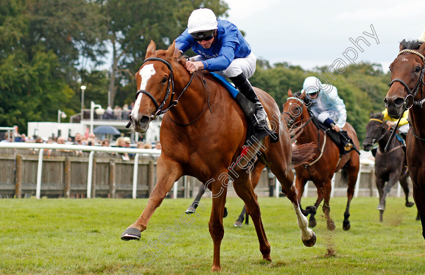 Modern-News-0002 
 MODERN NEWS (James Doyle) wins The Joyce And Charlie Guest Memorial Handicap
Newmarket 31 Jul 2021 - Pic Steven Cargill / Racingfotos.com