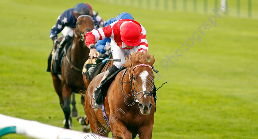 Hand-Of-God-0005 
 HAND OF GOD (Kevin Stott) wins The Virgin Bet Best Odds Daily British EBF Maiden Stakes
Newmarket 7 Oct 2023 - Pic Steven Cargill / Racingfotos.com