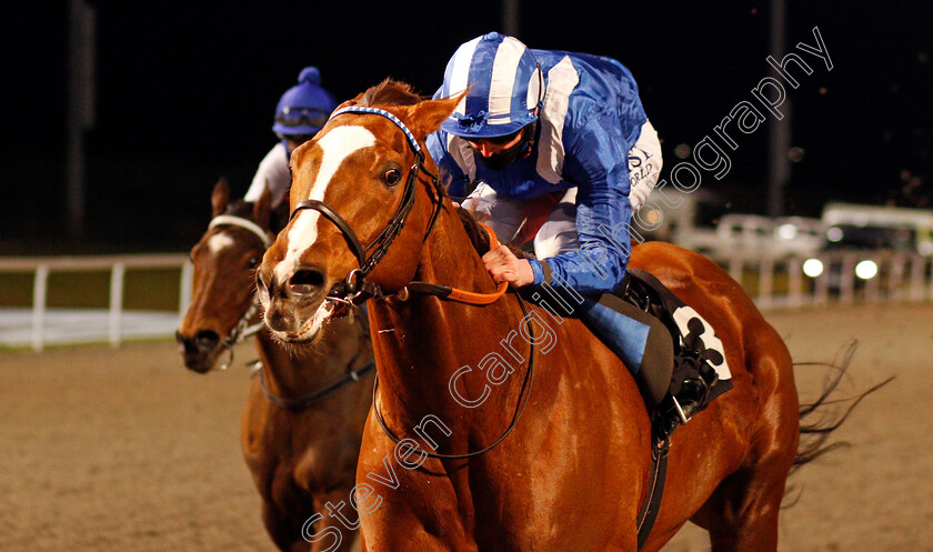 Khuzaam-0005 
 KHUZAAM (Jack Mitchell) wins The chelmsfordcityracecourse.com Conditions Stakes
Chelmsford 4 Mar 2021 - Pic Steven Cargill / Racingfotos.com