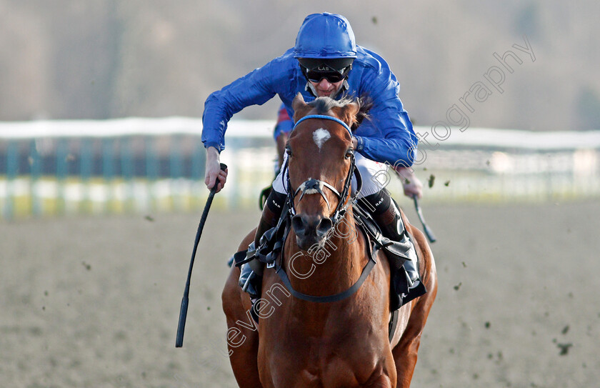 Forest-Of-Dean-0006 
 FOREST OF DEAN (Robert Havlin) wins The Betway Winter Derby Stakes
Lingfield 27 Feb 2021 - Pic Steven Cargill / Racingfotos.com