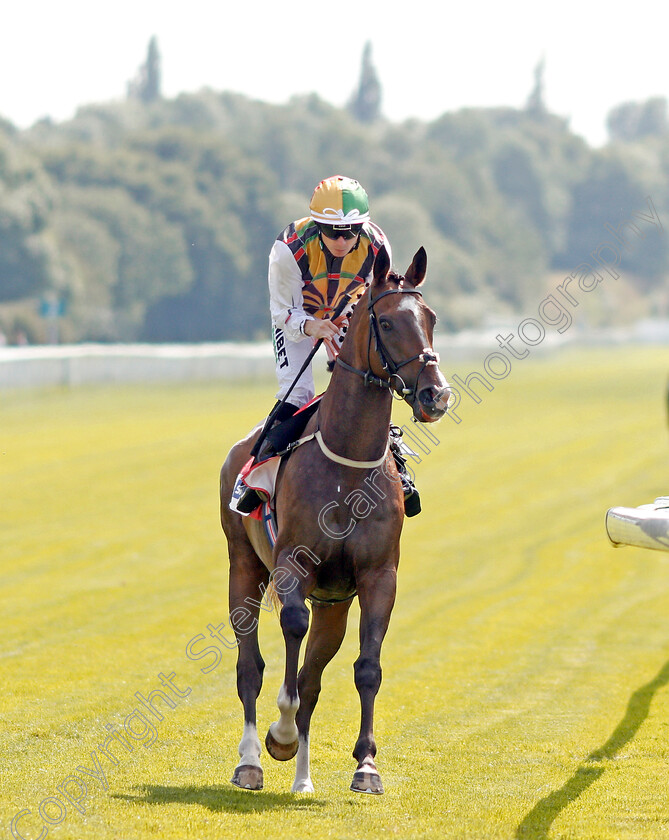 Escobar-0001 
 ESCOBAR (Jamie Spencer)
York 24 Aug 2019 - Pic Steven Cargill / Racingfotos.com