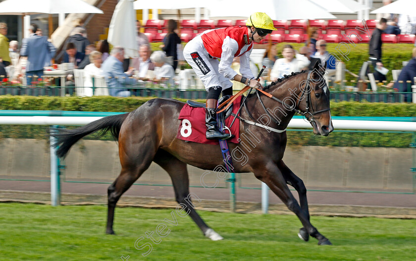 Obligatory-0001 
 OBLIGATORY (Sean Kirrane)
Haydock 25 May 2024 - Pic Steven cargill / Racingfotos.com