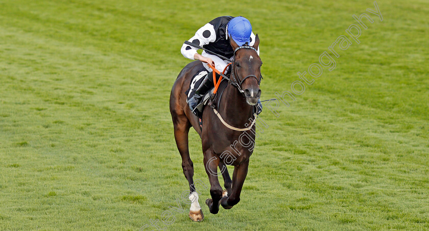 Badenscoth-0005 
 BADENSCOTH (George Downing) wins The Ladbrokes Best Odds Guaranteed Handicap
Goodwood 29 Aug 2020 - Pic Steven Cargill / Racingfotos.com