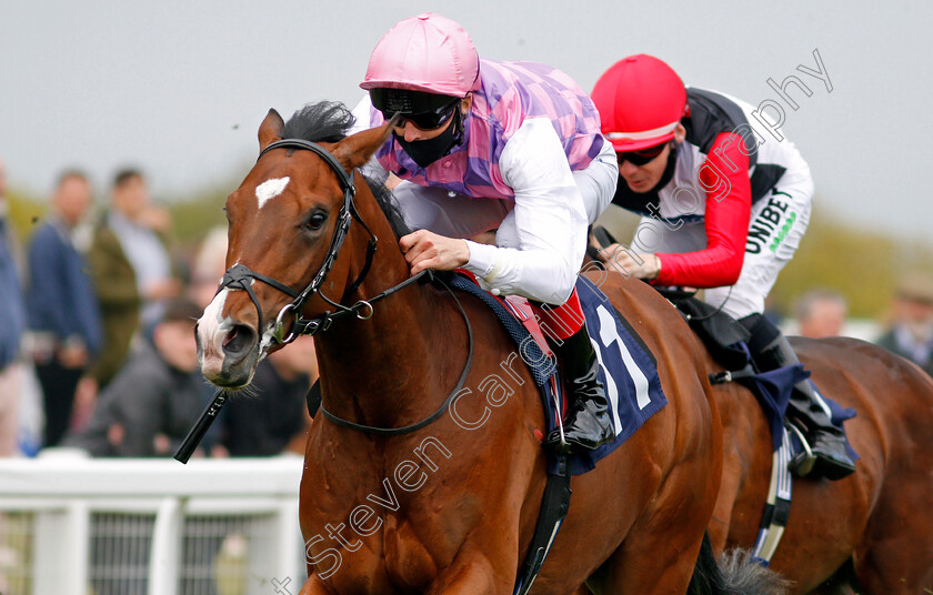 Tolstoy-0006 
 TOLSTOY (Martin Harley) wins The British Stallion Studs EBF Novice Stakes
Yarmouth 19 May 2021 - Pic Steven Cargill / Racingfotos.com