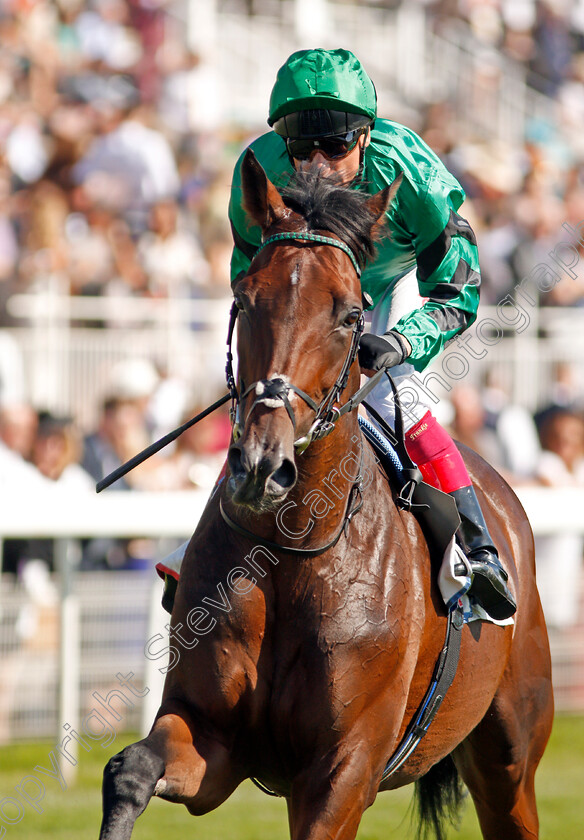 Ben-Vrackie-0002 
 BEN VRACKIE (Frankie Dettori)
York 24 Aug 2019 - Pic Steven Cargill / Racingfotos.com