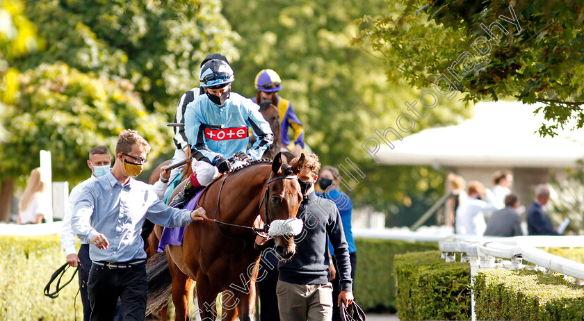 Round-Six-0001 
 ROUND SIX (Oisin Murphy) before winning The Unibet British Stallion Studs EBF Novice Stakes
Kempton 18 Aug 2020 - Pic Steven Cargill / Racingfotos.com