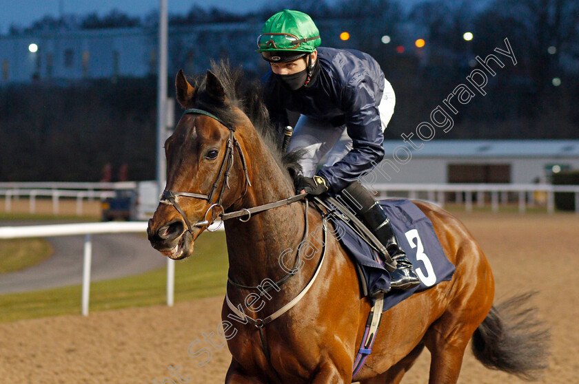 Coldstream-0002 
 COLDSTREAM (Charles Bishop)
Wolverhampton 12 Mar 2021 - Pic Steven Cargill / Racingfotos.com