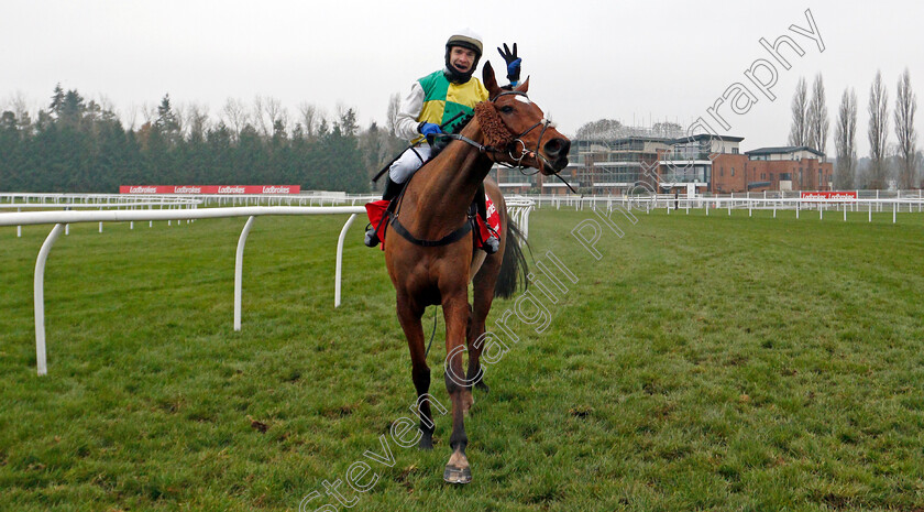 Cloth-Cap-0012 
 CLOTH CAP (Tom Scudamore) after winning The Ladbrokes Trophy Chase
Newbury 28 Nov 2020 - Pic Steven Cargill / Racingfotos.com