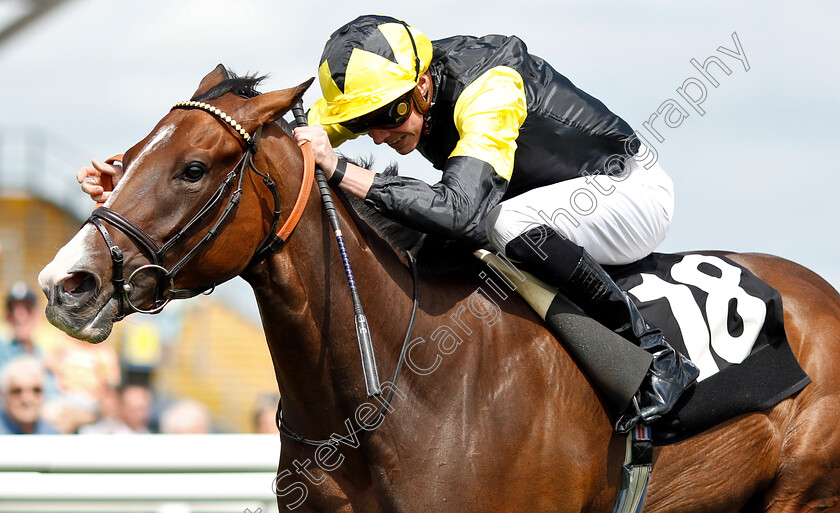 Wejdan-0005 
 WEJDAN (James Doyle) wins The John Drew Memorial Maiden Fillies Stakes
Newbury 6 Aug 2019 - Pic Steven Cargill / Racingfotos.com