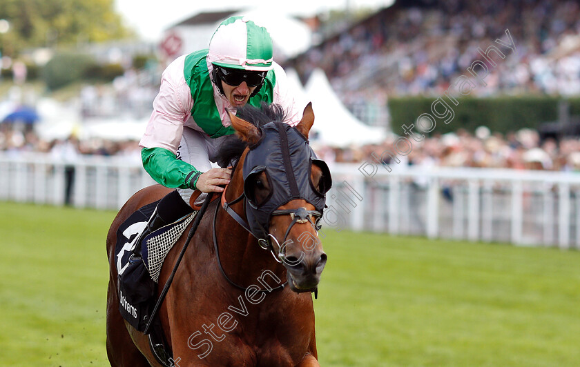 Duke-Of-Hazzard-0005 
 DUKE OF HAZZARD (P J McDonald) wins The Bonhams Thoroughbred Stakes
Goodwood 2 Aug 2019 - Pic Steven Cargill / Racingfotos.com