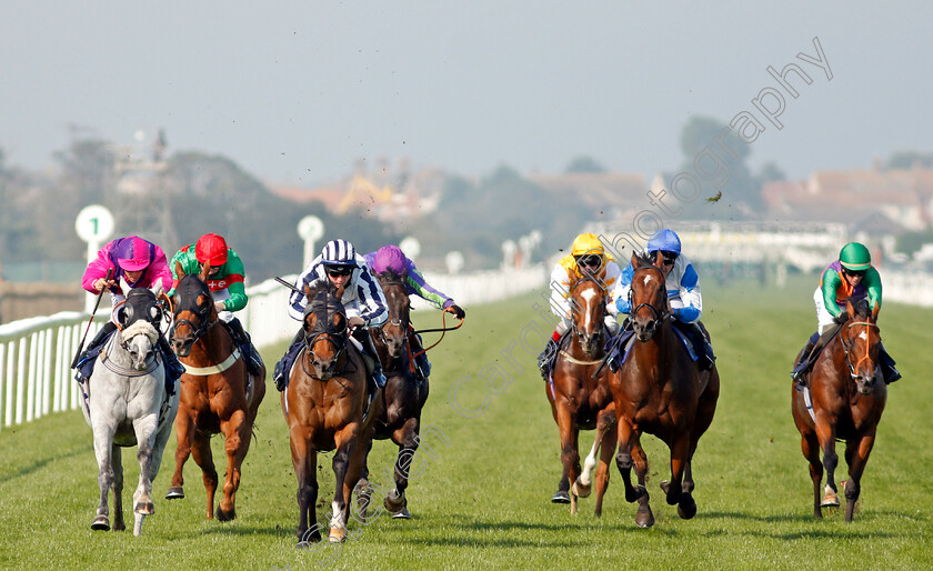 Grandfather-Tom-0002 
 GRANDFATHER TOM (2nd left, Ray Dawson) beats CASE KEY (left) in The Follow At The Races On Twitter Handicap
Yarmouth 15 Sep 2020 - Pic Steven Cargill / Racingfotos.com