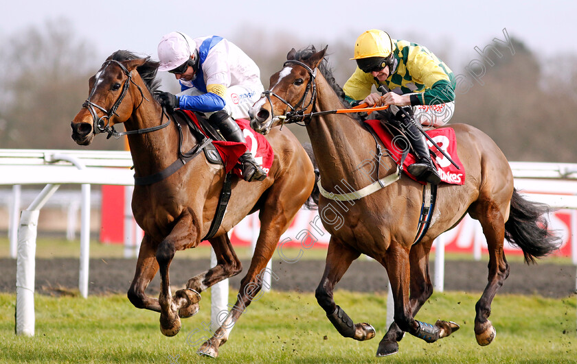 Mark-Of-Gold-and-Boombawn-0003 
 MARK OF GOLD (right, Caoilin Quinn) and BOOMBAWN (left, Harry Skelton)
Kempton 22 Feb 2025 - Pic Steven Cargill / Racingfotos.com