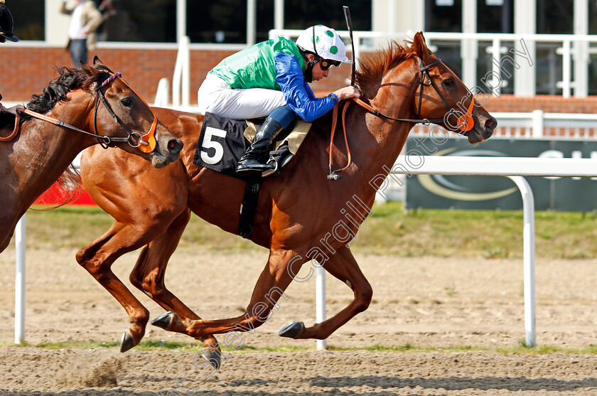 Decisive-Edge-0007 
 DECISIVE EDGE (William Buick) wins The tote Placepot Your First Bet EBF Novice Stakes
Chelmsford 20 Sep 2020 - Pic Steven Cargill / Racingfotos.com