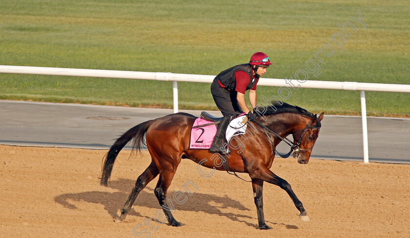 Mendelssohn-0002 
 MENDELSSOHN exercising in preparation for The UAE Derby at Meydan 29 Mar 2018 - Pic Steven Cargill / Racingfotos.com