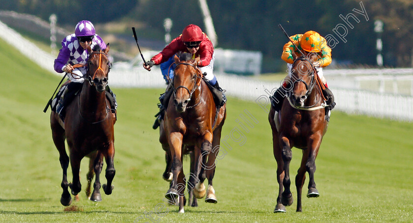 War-Horse-0001 
 WAR HORSE (centre, Marco Ghiani) beats SUPER STARS (right) and HAPAP (left) in The Ryan Canter Club Future Stayers EBF Maiden Stakes
Goodwood 22 Sep 2021 - Pic Steven Cargill / Racingfotos.com