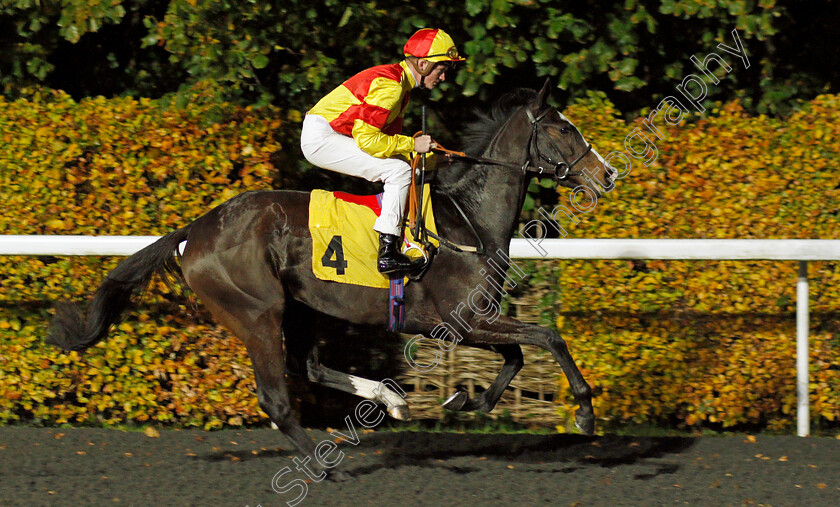 Audette 
 AUDETTE (Rob Hornby)
Kempton 10 Nov 2021 - Pic Steven Cargill / Racingfotos.com