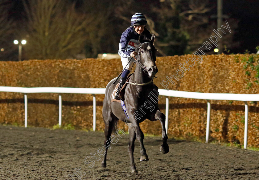 Itsgottobefun-0001 
 ITSGOTTOBEFUN (Liam Keniry)
Kempton 11 Dec 2024 - Pic Steven Cargill / Racingfotos.com