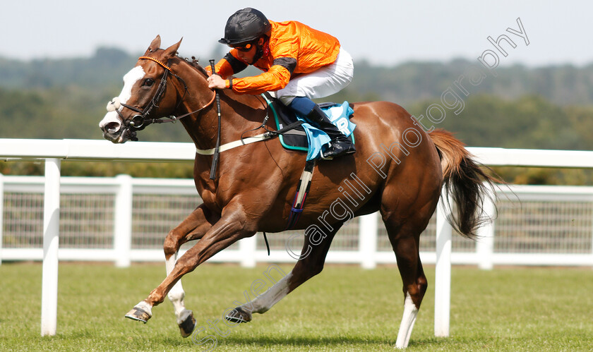 Speedo-Boy-0004 
 SPEEDO BOY (William Buick) wins The John Guest Racing Brown Jack Handicap
Ascot 23 Jul 2021 - Pic Steven Cargill / Racingfotos.com