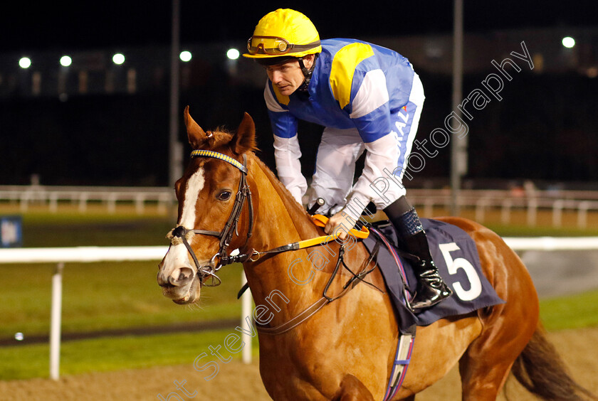 Logical-Lady-0001 
 LOGICAL LADY (Kieran O'Neill)
Wolverhampton 20 Dec 2024 - Pic Steven Cargill / Racingfotos.com