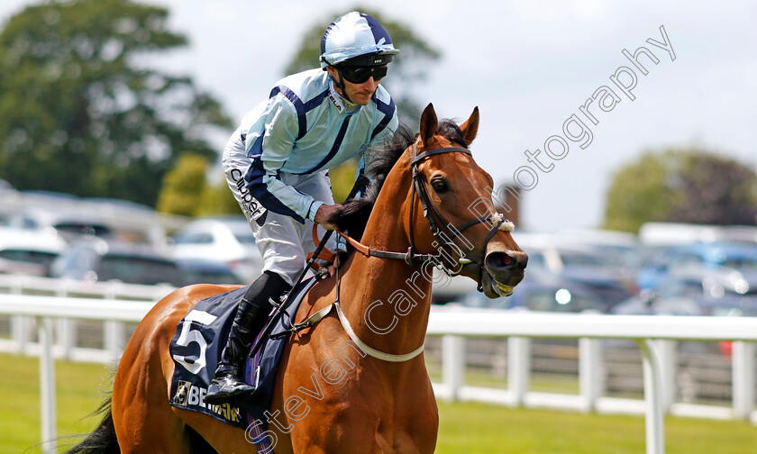 Nighteyes-0001 
 NIGHTEYES (Daniel Tudhope)
Sandown 15 Jun 2024 - Pic Steven Cargill / Racingfotos.com