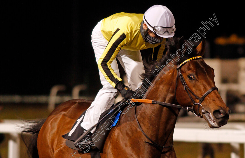 Father-Of-Jazz-0002 
 FATHER OF JAZZ (Callum Shepherd) winner of The Racing Welfare Novice Stakes
Chelmsford 14 Jan 2021 - Pic Steven Cargill / Racingfotos.com