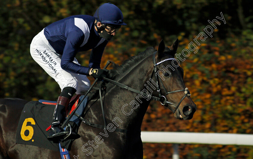 Imperial-Sun-0001 
 IMPERIAL SUN (Robert Havlin)
Kempton 11 Nov 2020 - Pic Steven Cargill / Racingfotos.com