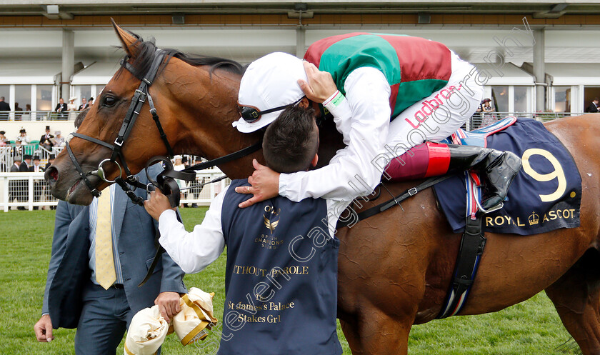 Without-Parole-0011 
 WITHOUT PAROLE (Frankie Dettori) after The St James's Palace Stakes
Royal Ascot 19 Jun 2018 - Pic Steven Cargill / Racingfotos.com