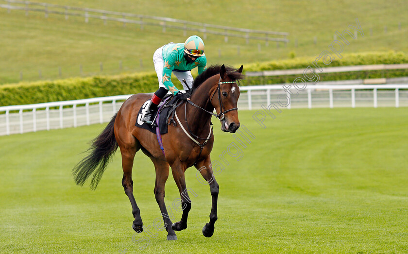 Fairy-Cakes-0001 
 FAIRY CAKES (Edward Greatrex)
Goodwood 21 May 2021 - Pic Steven Cargill / Racingfotos.com