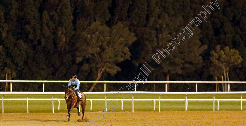 Lauda-Sion-0002 
 LAUDA SION training for The Godolphin Mile
Meydan, Dubai, 22 Mar 2023 - Pic Steven Cargill / Racingfotos.com