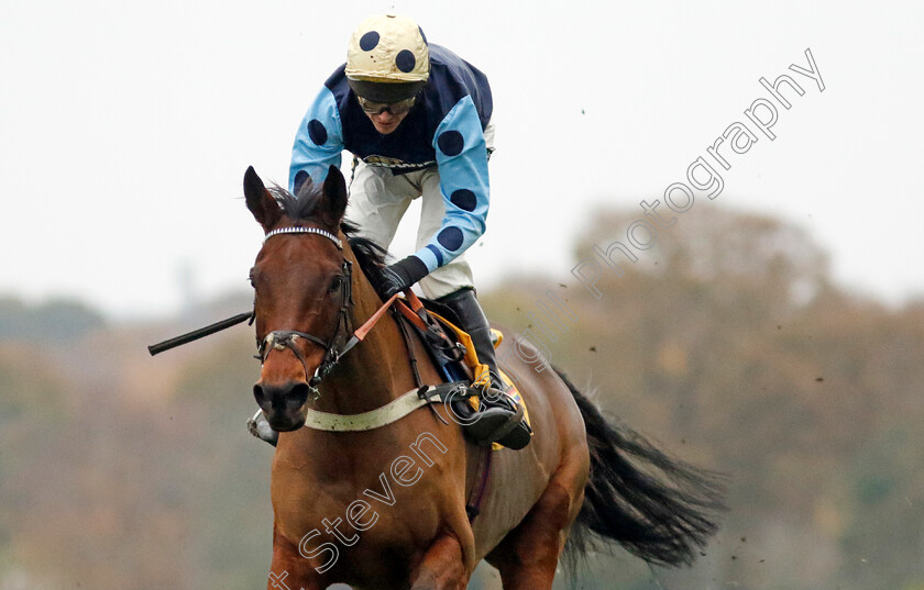 Edwardstone-0002 
 EDWARDSTONE (Tom Cannon) wins The Betfair Tingle Creek Chase
Sandown 3 Dec 2022 - Pic Steven Cargill / Racingfotos.com