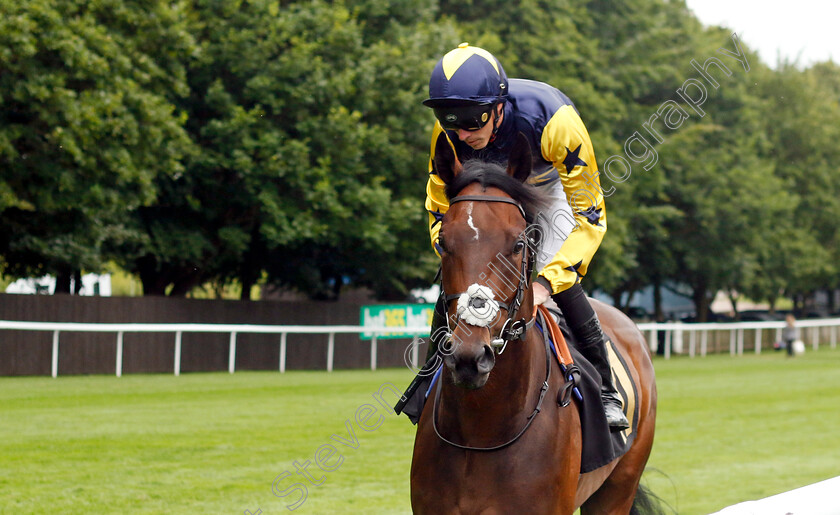 Validated-0005 
 VALIDATED (James Doyle) winner of The Federation Of Bloodstock Agents Handicap
Newmarket 12 Jul 2024 - pic Steven Cargill / Racingfotos.com