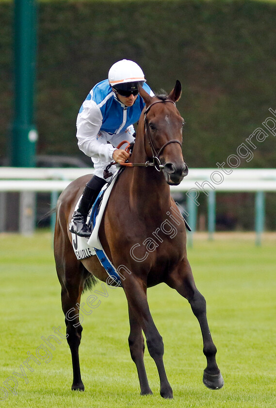 Sacred-Spirit-0001 
 SACRED SPIRIT (Maxime Guyon)
Deauville 3 Aug 2024 - Pic Steven Cargill / Racingfotos.com